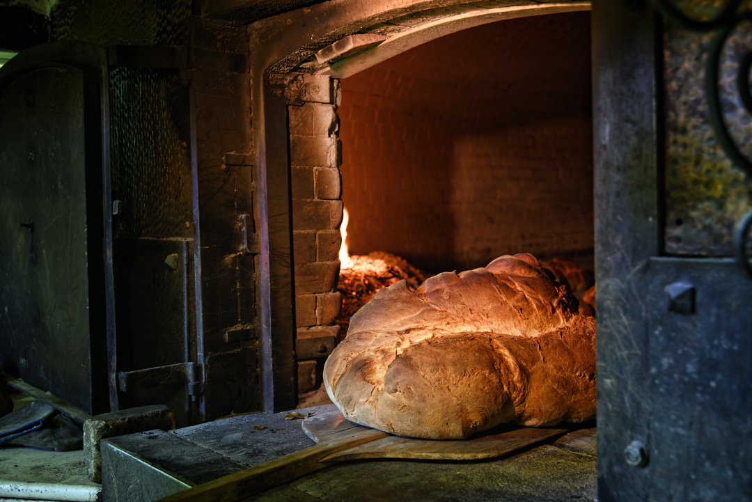 Gambero Rosso | Il pane di Matera
